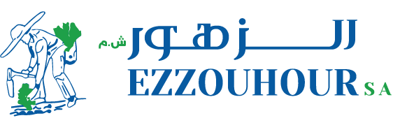 Ezzouhour