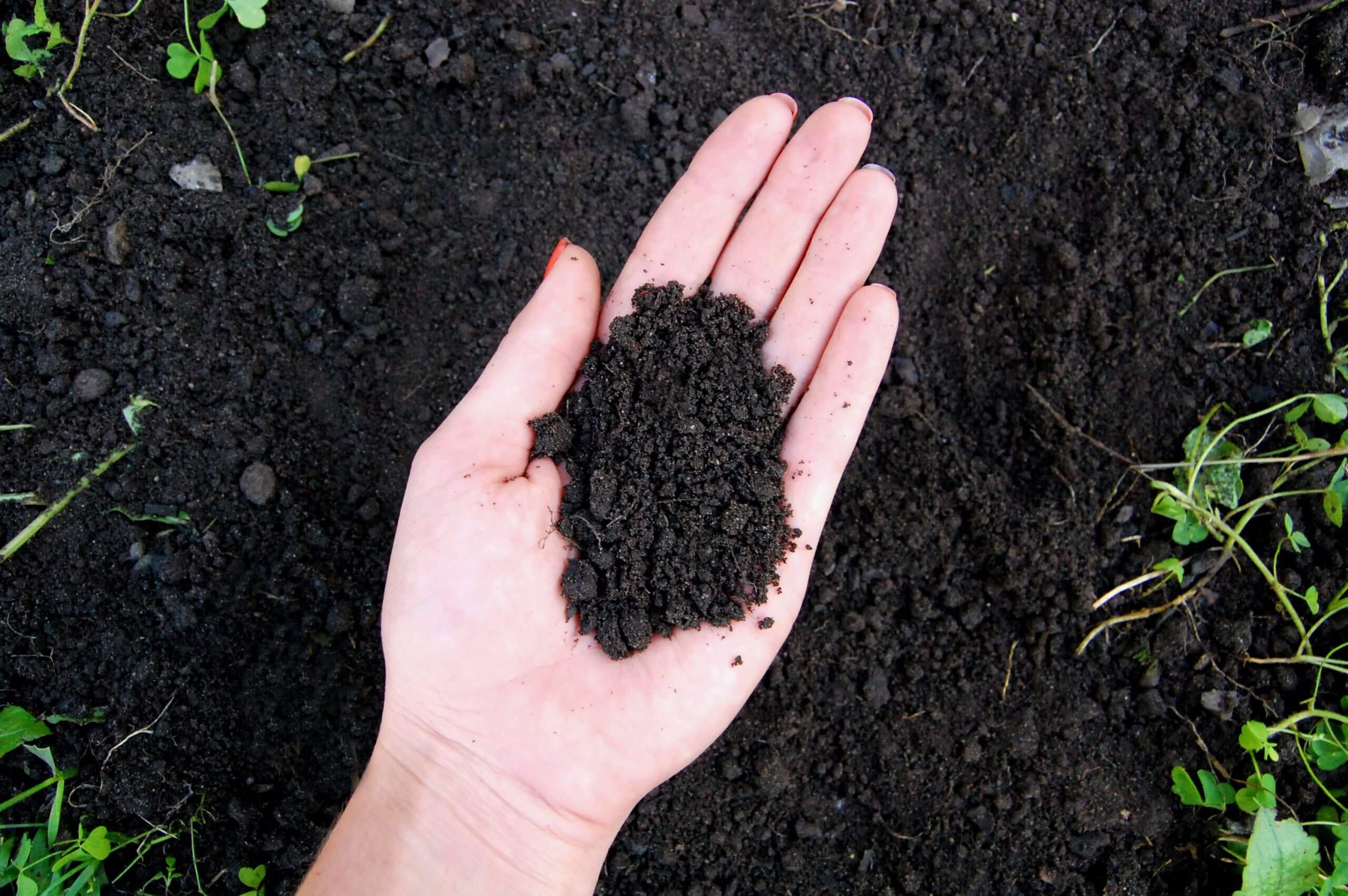 أهمية التسميد في تحسين جودة التربة
